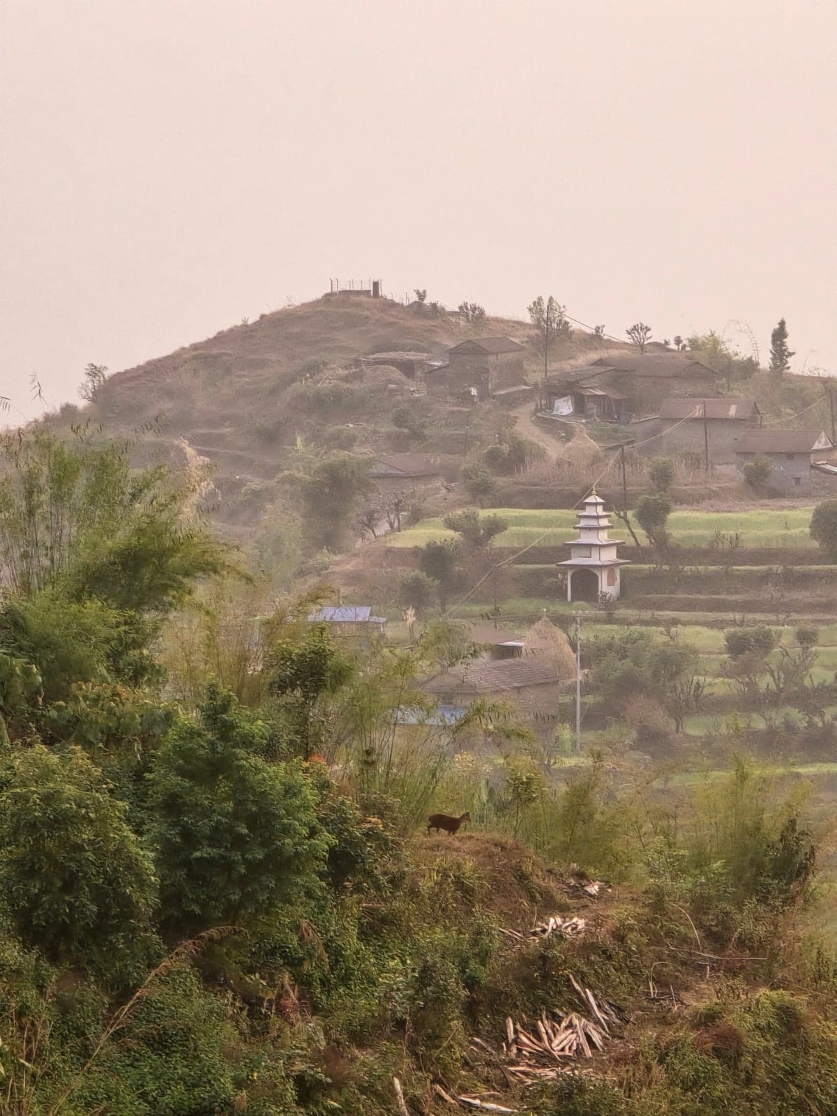 Temple hill view